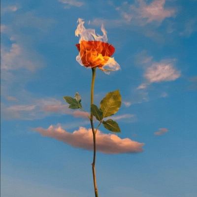 荆州房产网下载